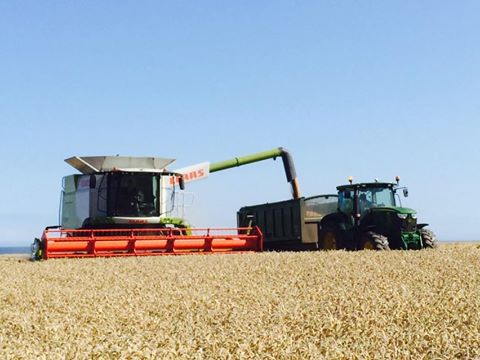 Tractor and combine